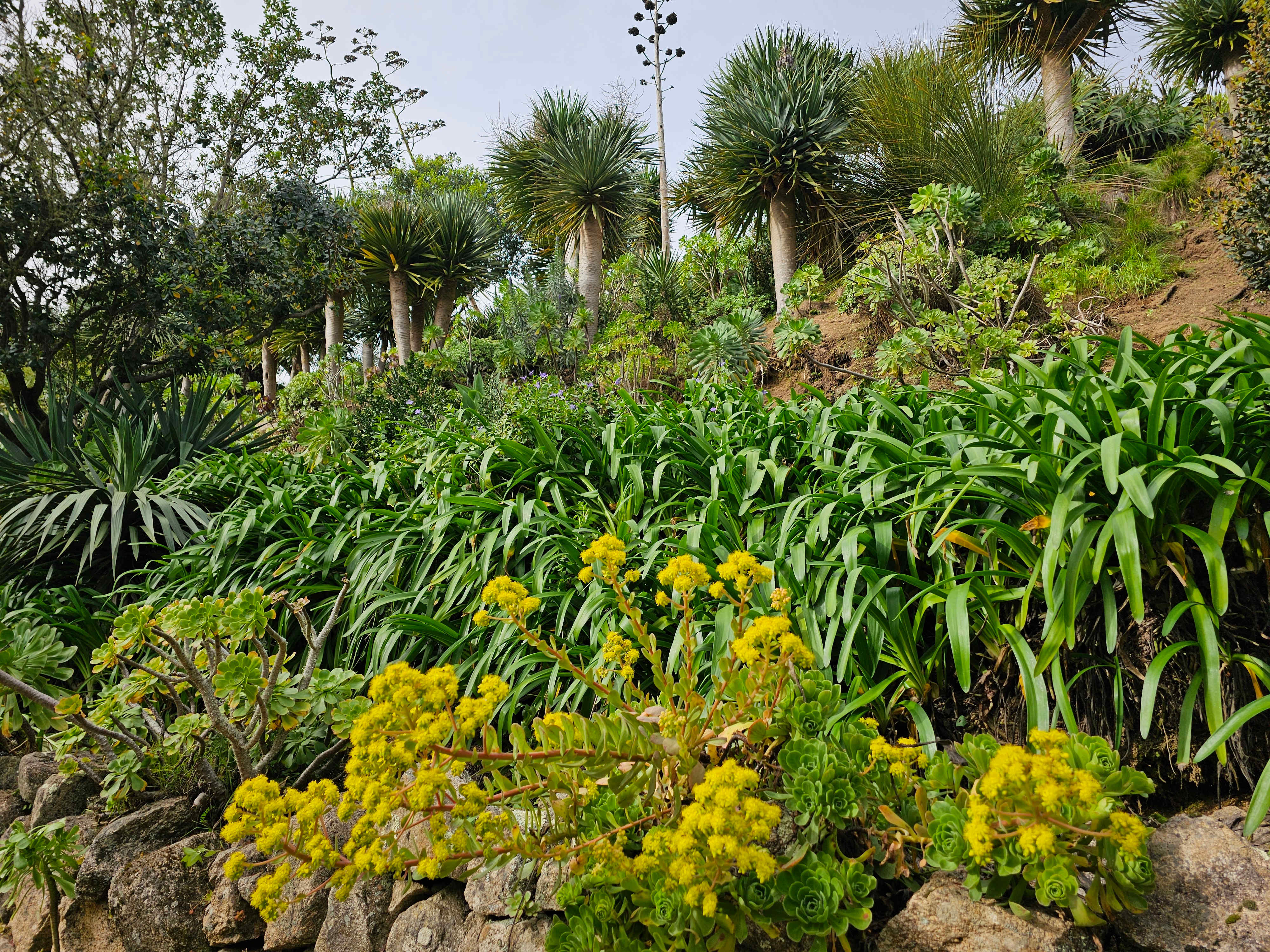 Sintra